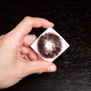 Magic Mushroom Spore Print Being Held In Hand