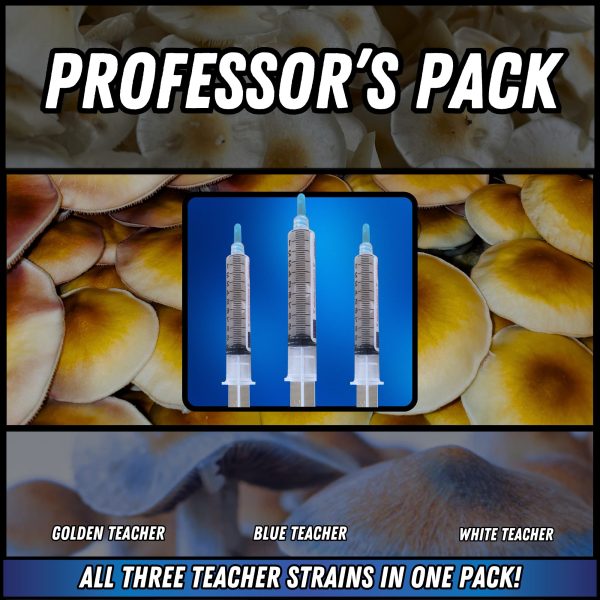 Pack of golden teacher spore syringes