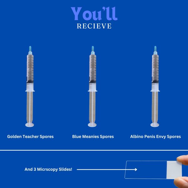 Magic Mushroom Kit Breakdown with 3 spore syringes and a microscope slide