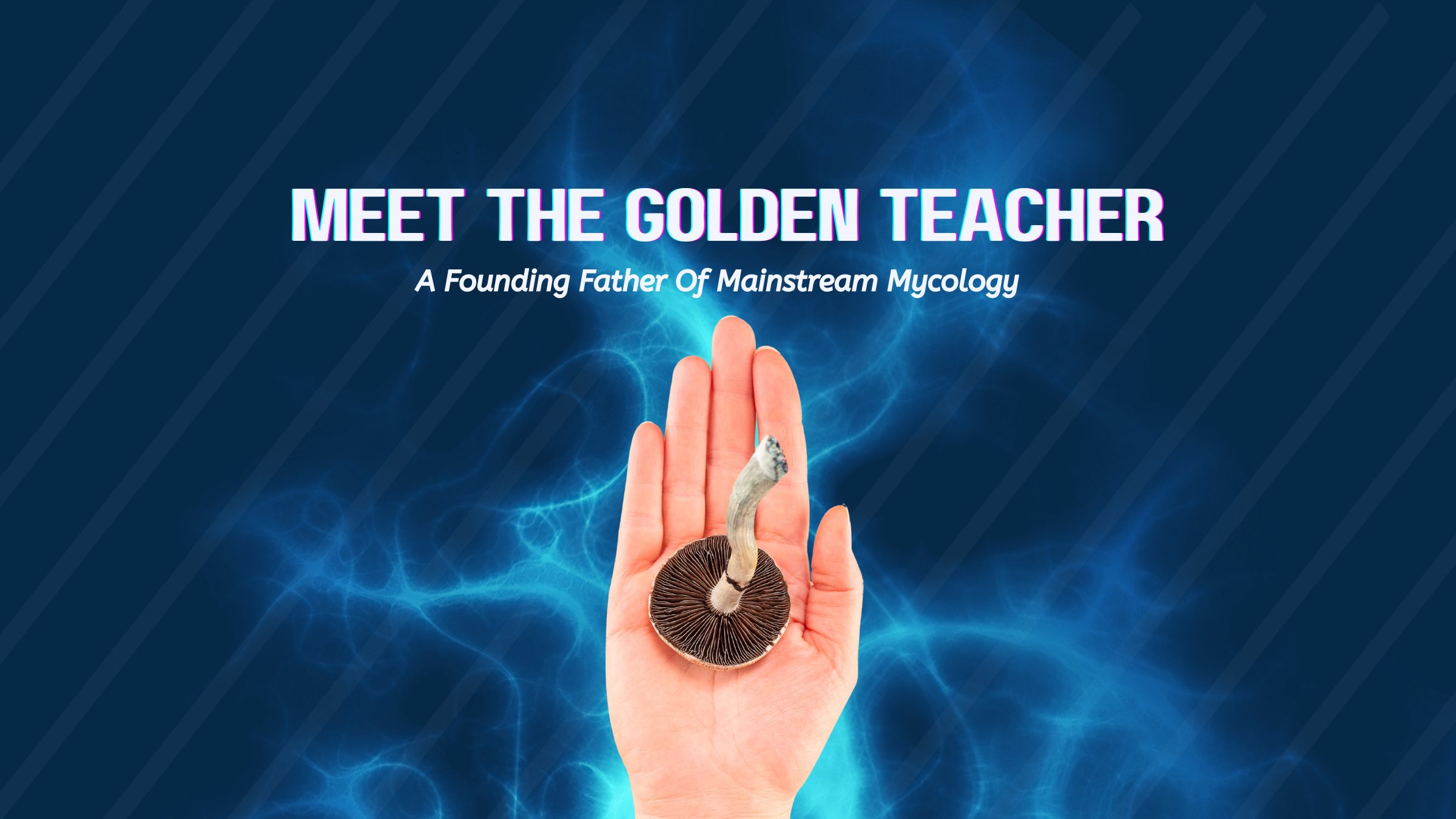 Hand holding a golden teacher mushroom with blue background