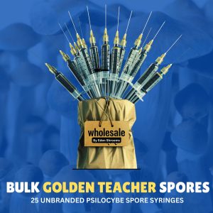 Bulk golden teacher spores with syringes