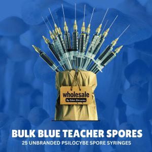 Bulk Blue Teacher Spore Syringes With Product title