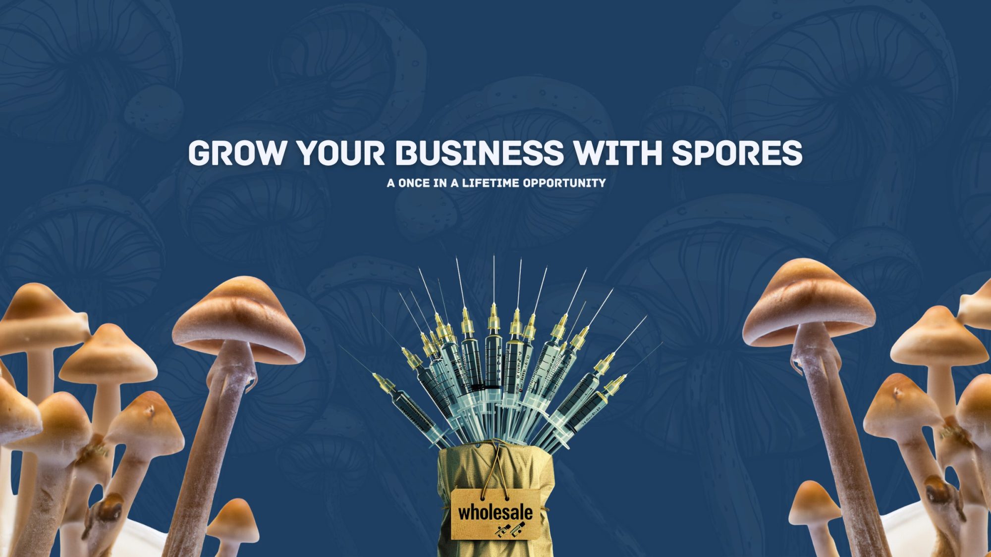 Magic Mushroom Spore Syringes And Mushrooms. "Grow your business with mushroom spores". 