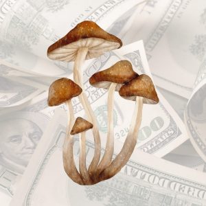 Magic mushroom with a background made of dollar bills