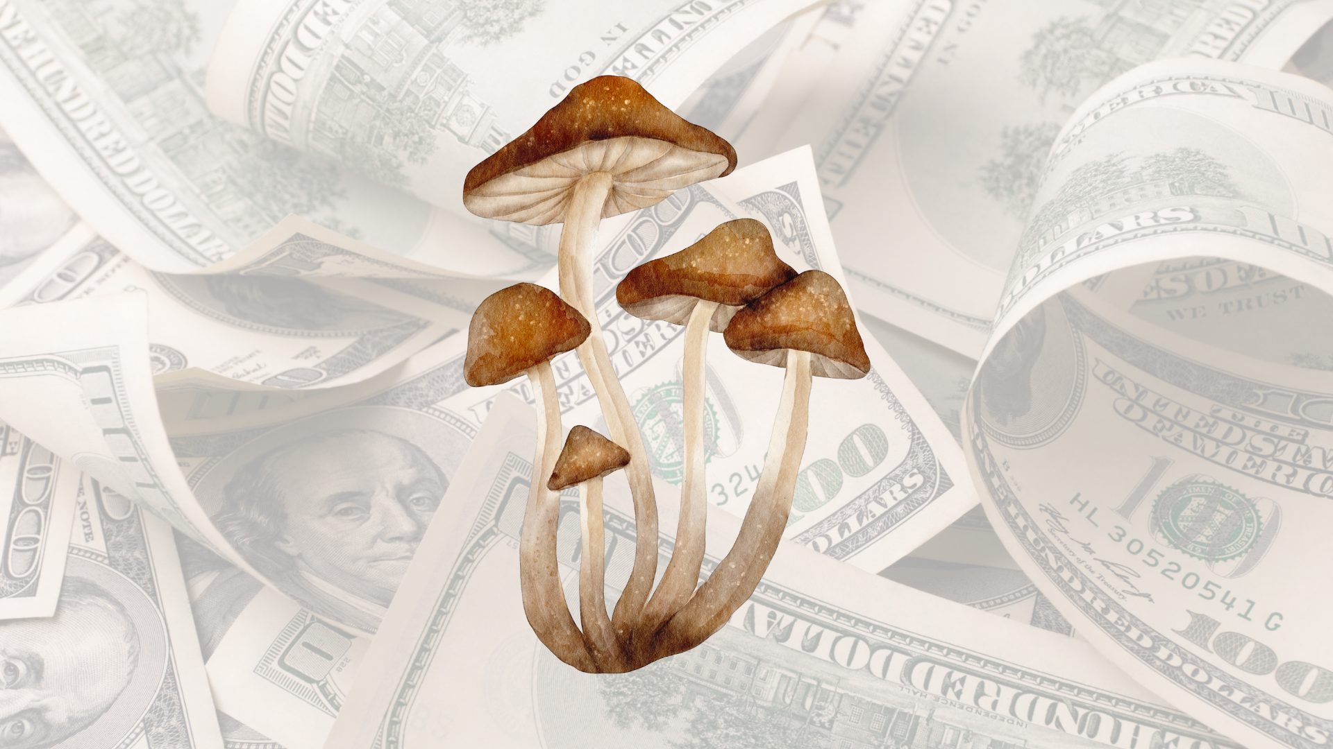 Magic mushroom with a background made of dollar bills