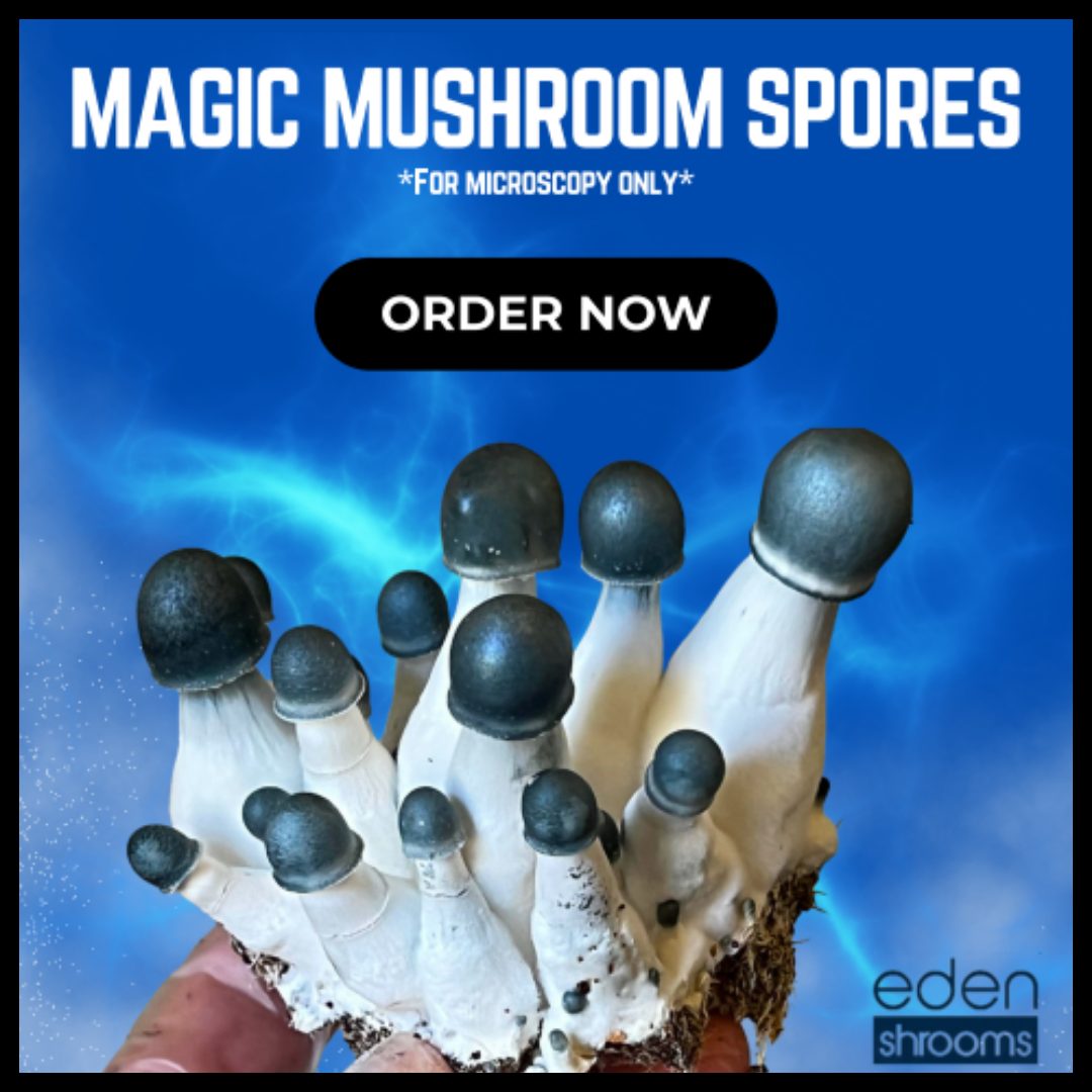 Magic Mushroom Spores Ad