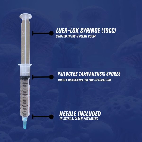 Magic Truffle Spores (Psilocybe Tampanensis) Syringe