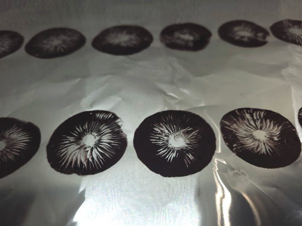 Spore prints in a row