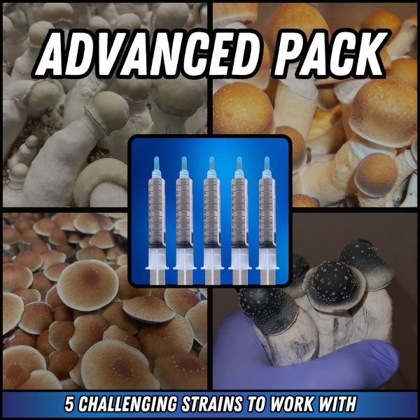 Magic mushroom spore syringes in challenging pack of 5 syringes