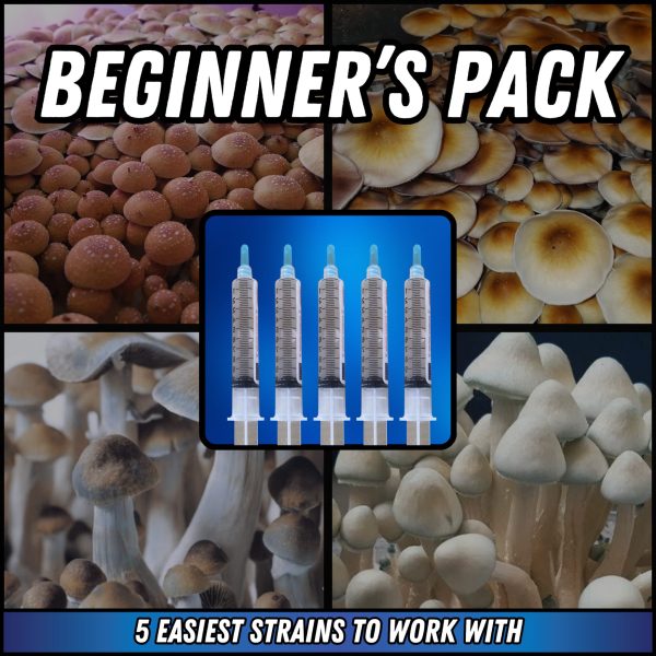 Magic mushroom spore syringes with 5 easy strains to grow