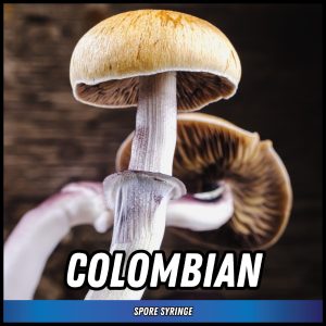 Colombian Mushrooms grown from spore syringes