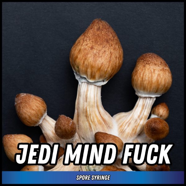 Jedi Mind Fuck Mushrooms grown from spores in a syringe