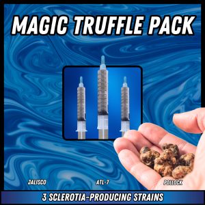 magic truffles with magic truffle spore syringes