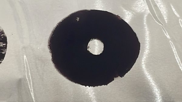 Black spore print from magic mushroom spores